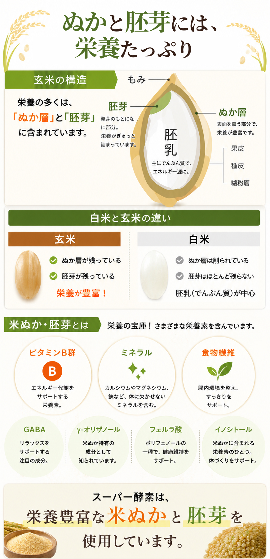 玄米と白米の違い、米ぬか・胚芽に含まれる栄養