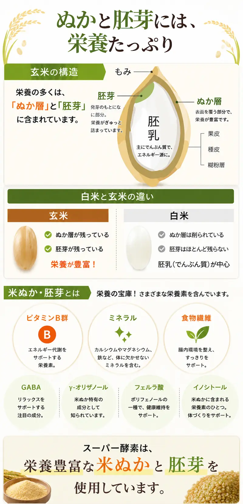 玄米と白米の違い、米ぬか・胚芽に含まれる栄養