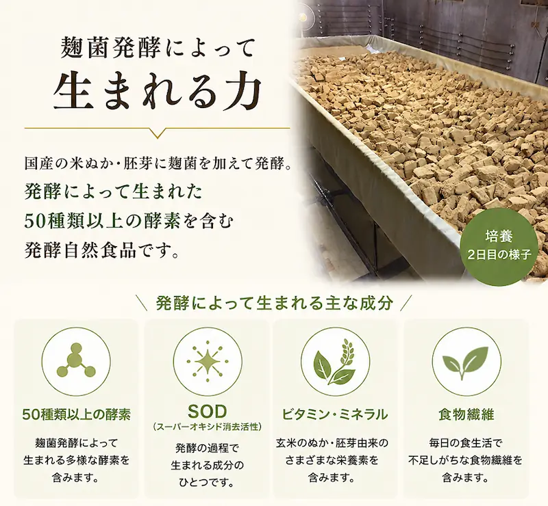 麹菌発酵によって生まれる主な成分について