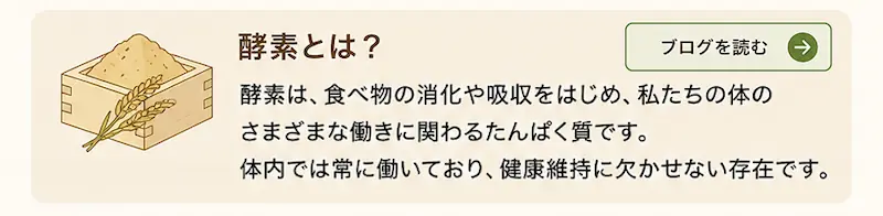 酵素とは何かについて簡潔に説明