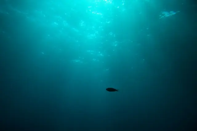 深海イメージ